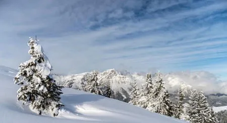 Schneebericht Schneebericht